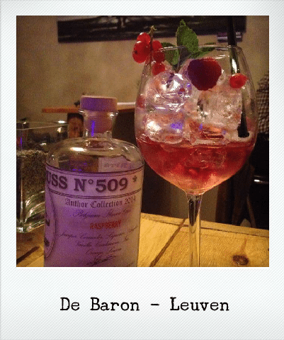 Gin Tonic lovers: allen naar De Baron in Leuven