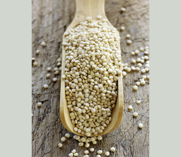 Quinoa-grain