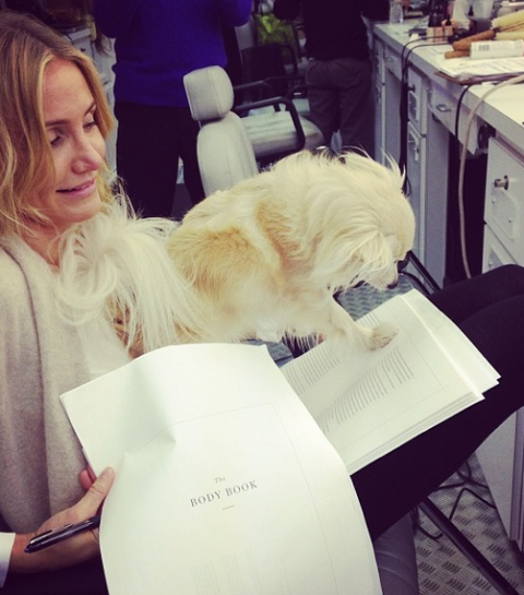 20 stars et leurs animaux de compagnie
