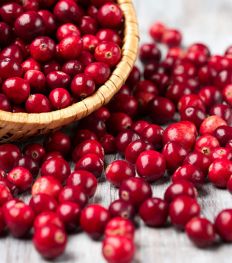 5 recettes aux cranberries pour booster votre tonus