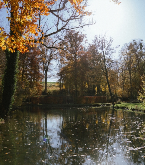 Le Chêneau, pisciculture pleine nature à Annevoie 