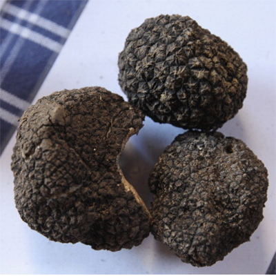 bouillon truffes