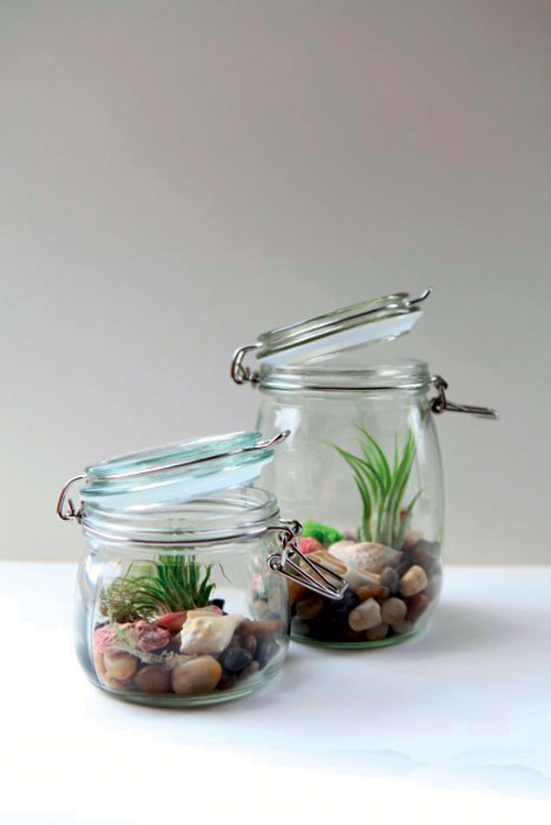 2_terrarium-2-mason-jar-copyrigh-garden-therapy