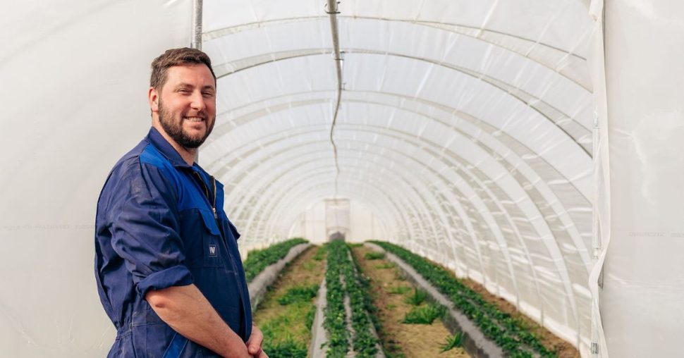 Le rouge aux joues de plaisir, de la barquette à l’assiette avec les fraises de la Ferme Depuydt