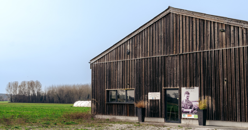 Les pouvoirs insoupçonnés d’un superaliment printanier