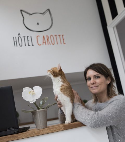 Un club de vacances pour chats a ouvert à Bruxelles
