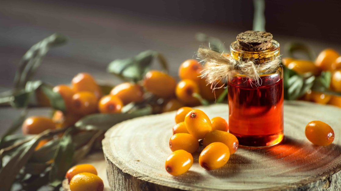 sea buckthorn oil in a small bottle with berries