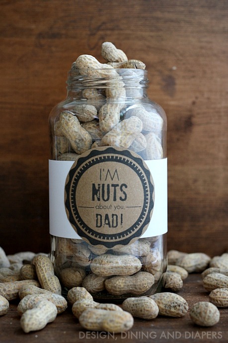 Free-Fathers-Day-Printable-Im-Nuts-About-You-Dad