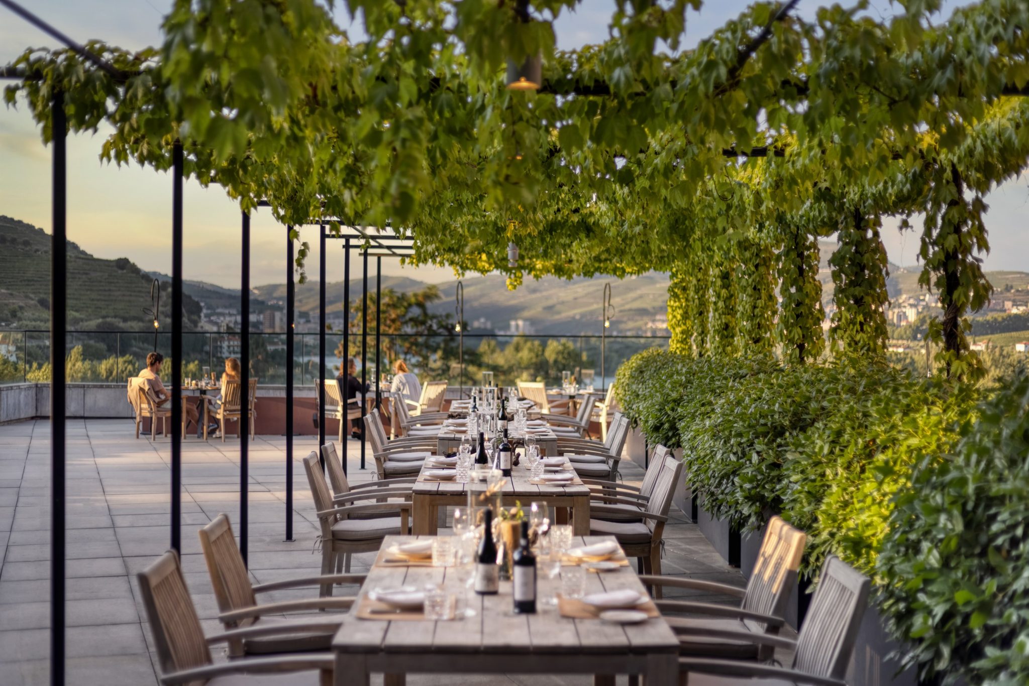 Wine Library Terrace