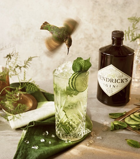 5 recettes originales de cocktails au gin