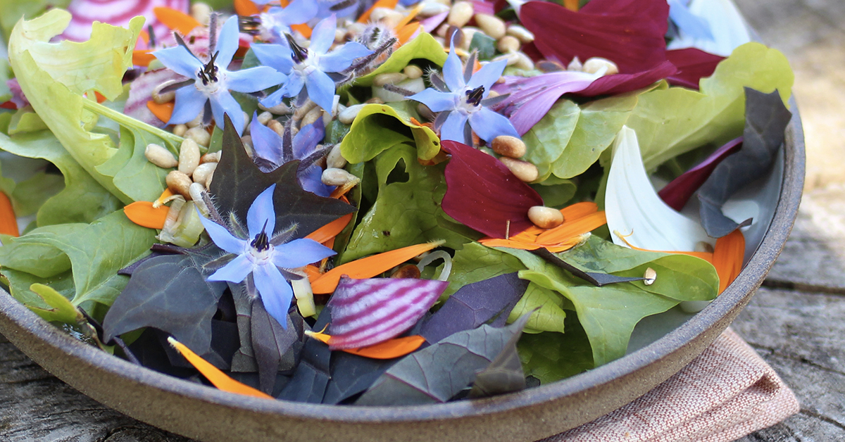 La salade du jardin de Marie Brisart