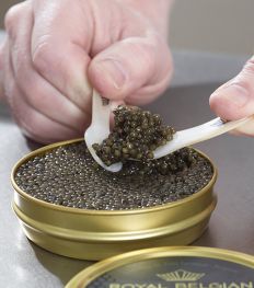 3 conseils pour bien choisir, conserver et déguster le caviar