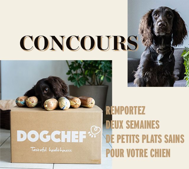 concours Elle à table x Dog Chef