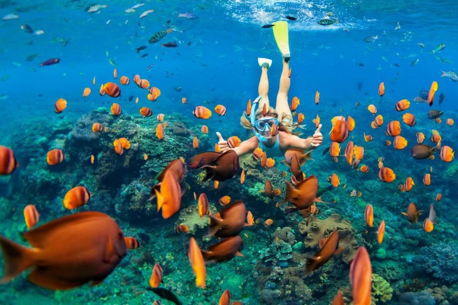 plongée sous-marine Seychelles filles