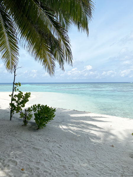 Une journée au bord de l'eau dans le complexe hôtelier de Plumeria.