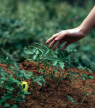 Jardin : 5 gestes essentiels pour créer un refuge pour la biodiversité