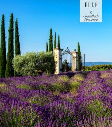 Vacances : où passer l’été au coeur de la Provence ?