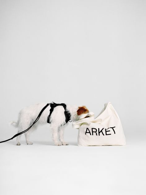 ARKET_C_Dog Collection_10