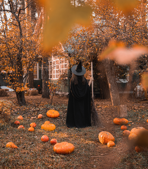 Halloween : 7 activités paranormales à faire à Bruxelles