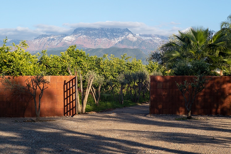 Une vue d'un jardin non loin de Marrakech.