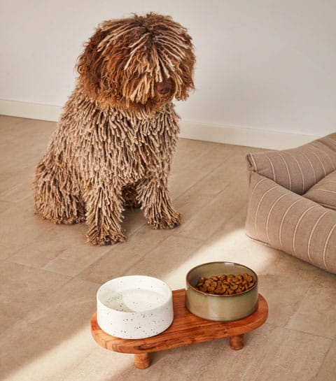 kave home kave pets collection animaux