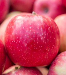 Quelles sont les raisons de consommer des pommes Pink Lady® ?
