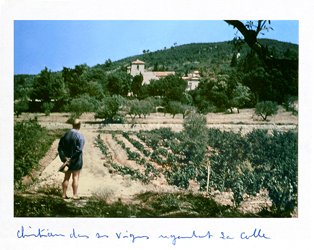 Christian Dior de dos regardant les vignes de son domaine dans le Sud.