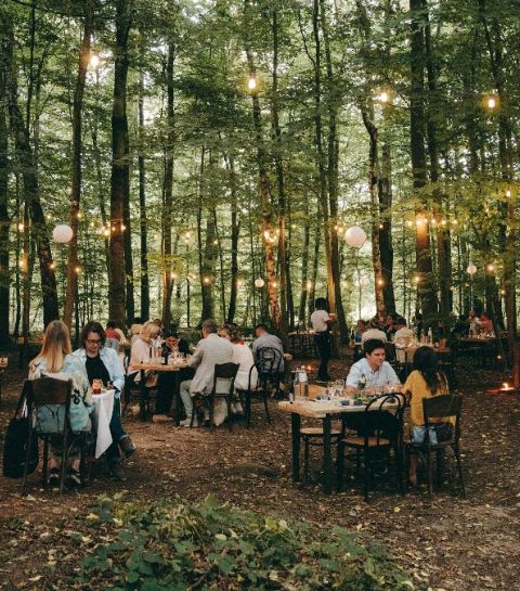 Dinner in the woods au cœur du Bois de la Cambre