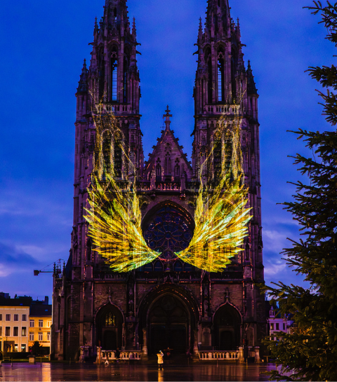 Les plus beaux parcours lumineux à faire cet hiver en Belgique