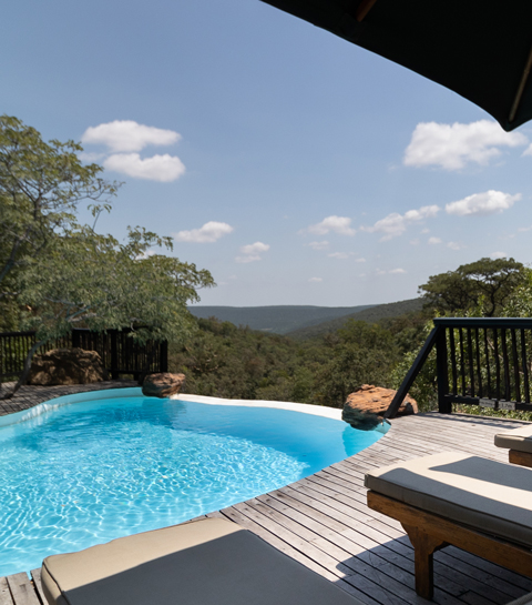 Afrique du Sud : l’unique et exclusif Laluka Safari Lodge