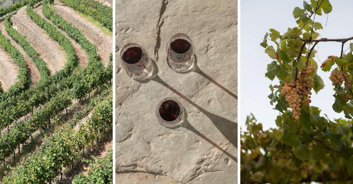 L’escapade automnale idéale au cœur de Porto