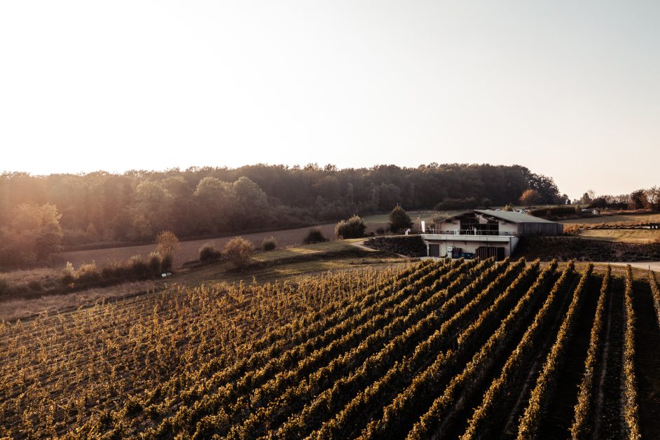Vignoble Domaine Vins des Cinq