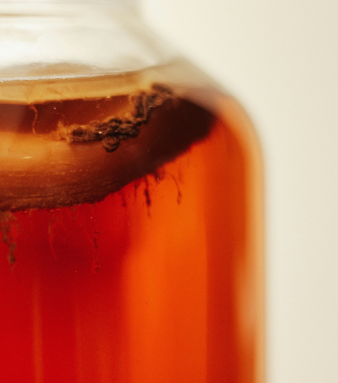 La kombucha est-elle vraiment bonne pour la santé ?