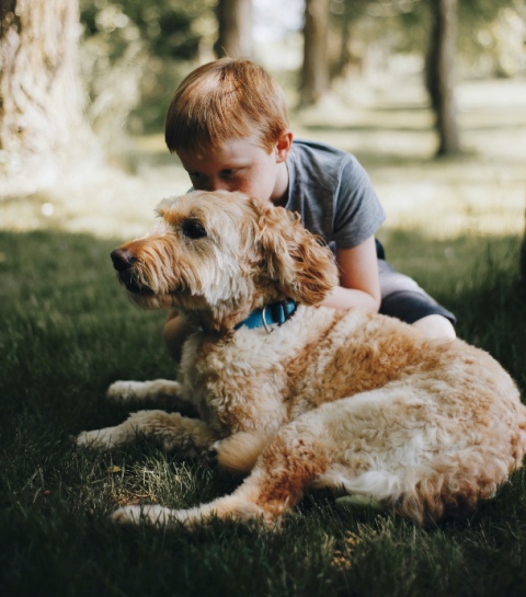 Quel chien choisir ? Les 7 races les plus douces avec les enfants