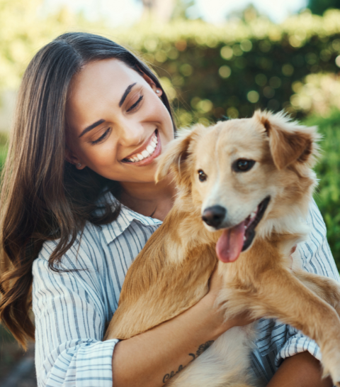 Quelle est la meilleure marque de croquettes pour chien en 2026 ? Le guide expert