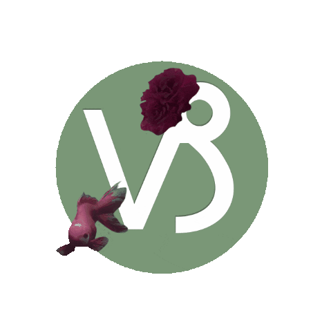 steenbok capricorne capricorn sterrenbeeld horoscoop gif