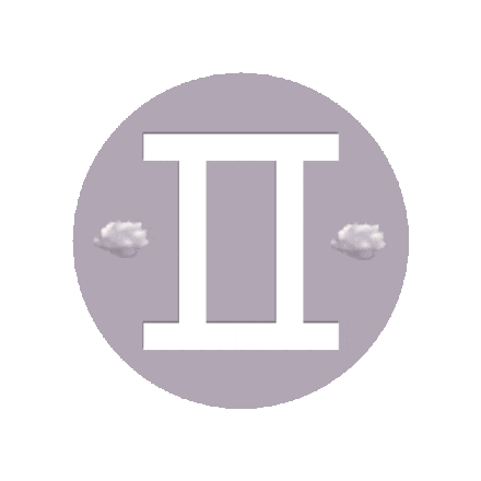 gemini tweeling tweelingen