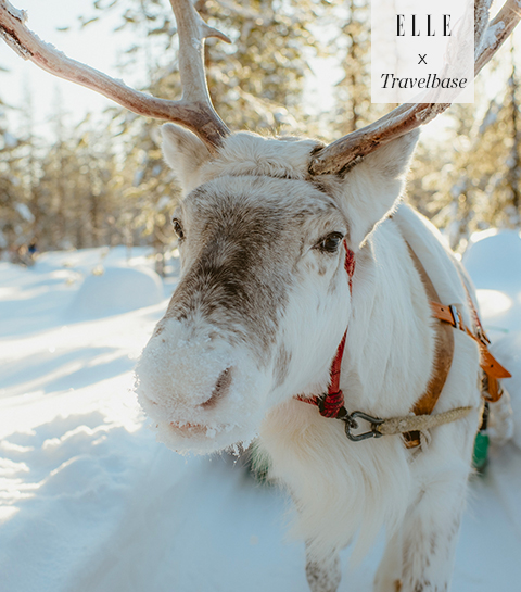 Lapland de perfecte combinatie van rust en actief genieten