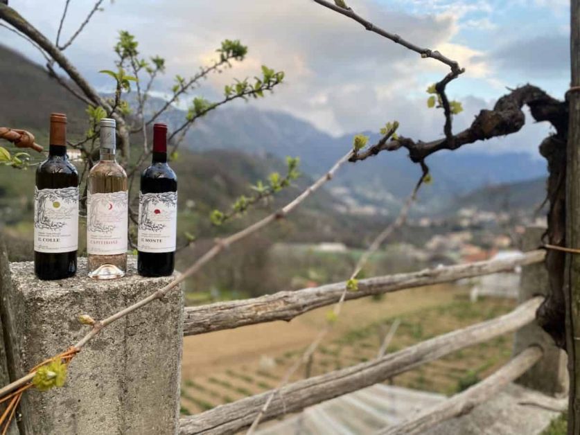 Amalfikust, wine – ©courtesy of Authentic Amalfi Coast Archive