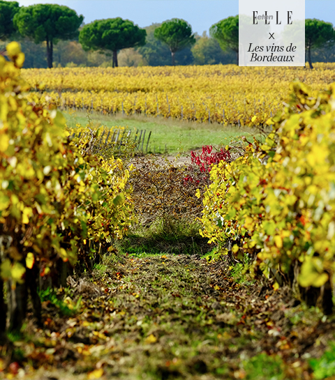 Roadtrip Bordeaux: ontdek de Entre-Deux-Mers wijnstreek