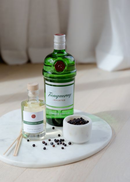 TANQUERAY X ABEL ODOR