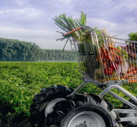Rechtvanbijdeboer.be: haal lokale producten in huis