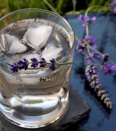 ELLE hotspot: 3 bars om Gin Tonic te drinken
