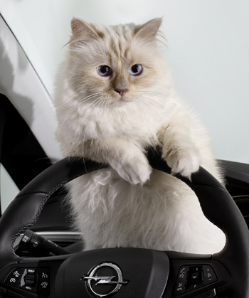 Opel-Corsa-Lagerfeld-292915.jpg