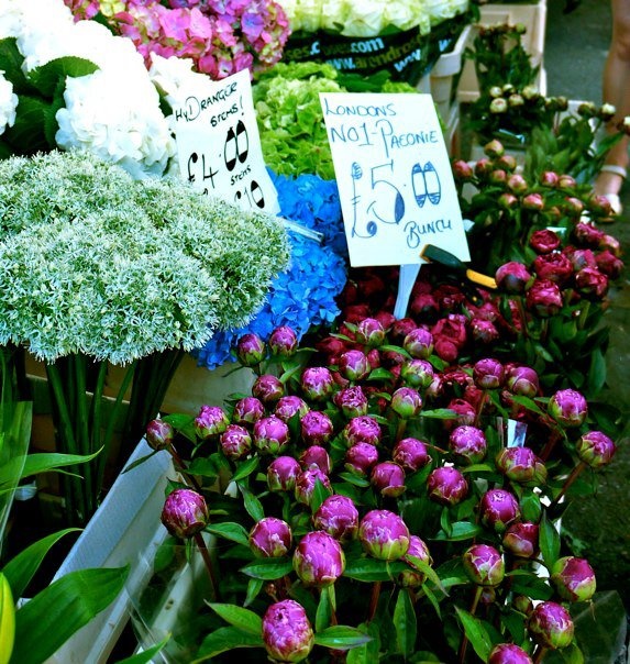 4b39a95c8cd05b067461b1b9f36613bb