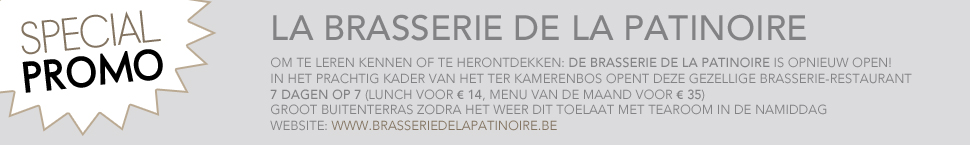 Banner-Brasserie-de-la-patinoire-NL
