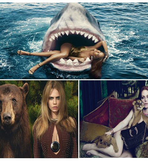 Top 10 beestige magazine covers