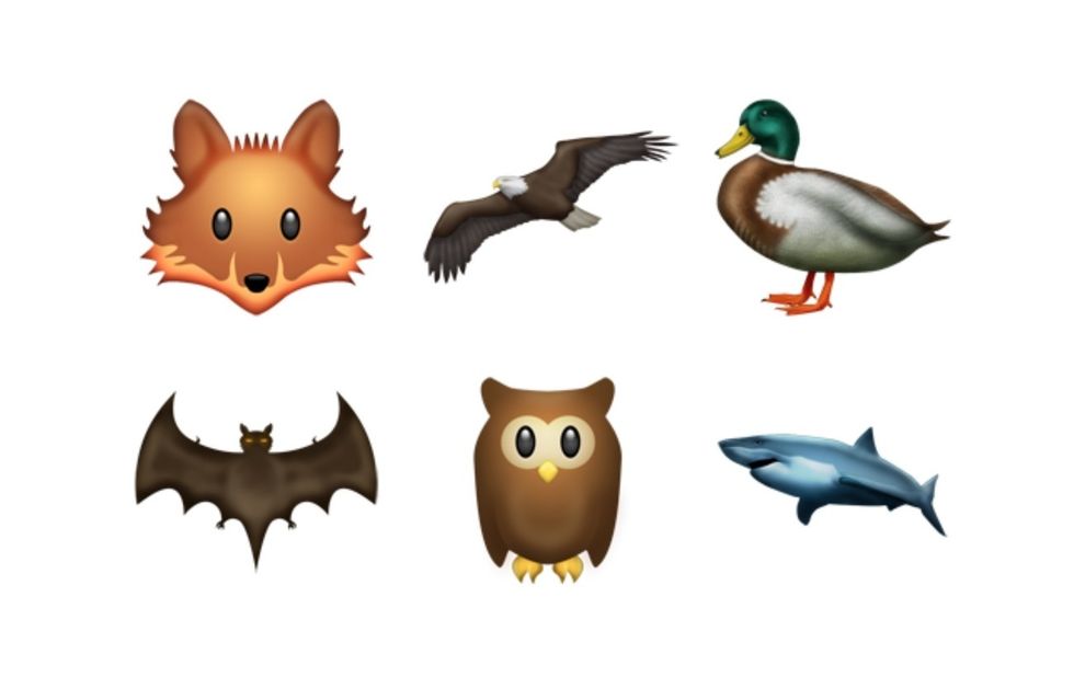 1440425629-syn-cos-1440290032-animals