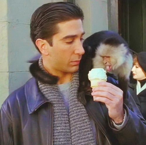 marcel
