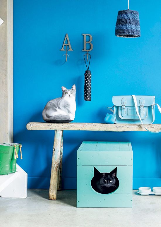 Pinspiration: een (stijlvol) cat friendly interieur - ELLE.be